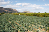 Requirements for subsidies for local authorities and Irrigation Entities 2016