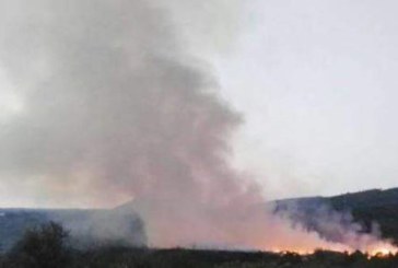 Fires in the province of Alicante