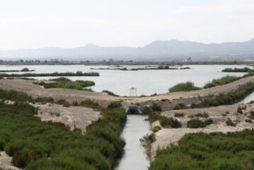 Parque Natural El Hondo
